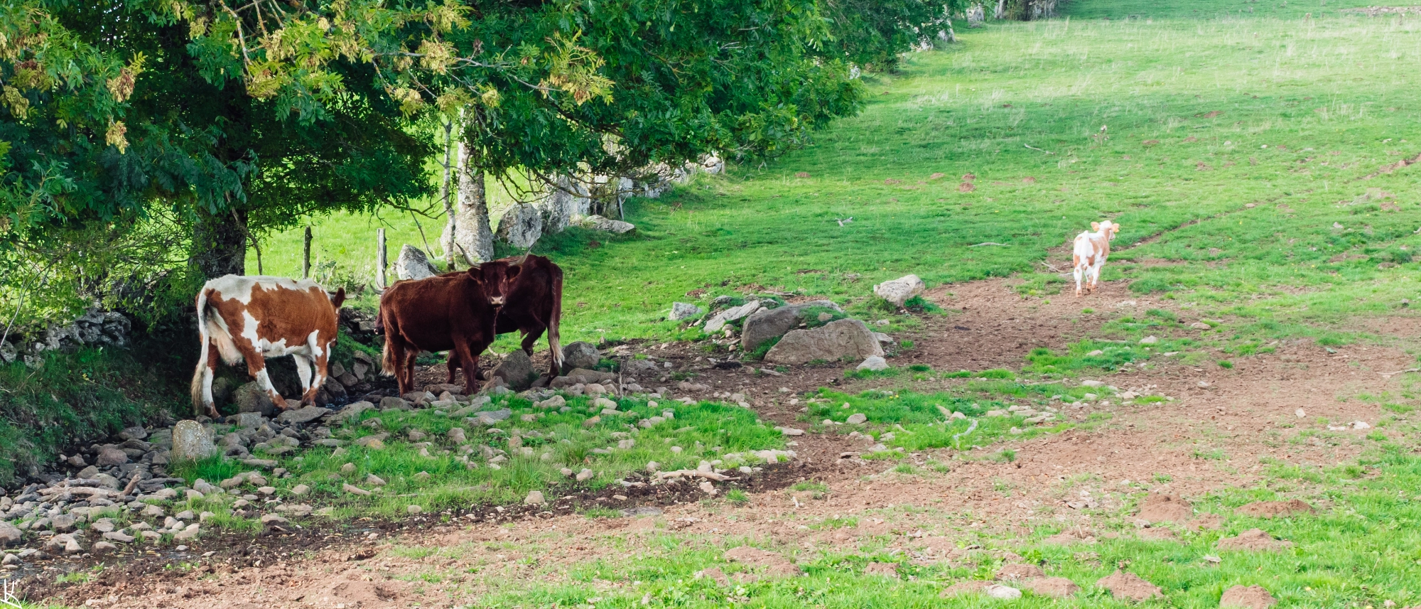 Près du village de La Bouay